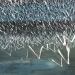 multitude  | série HORIZON