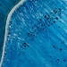 vague II